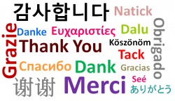 Foreign Language