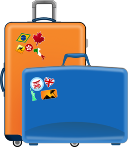 Travel Essentials Luggage Image