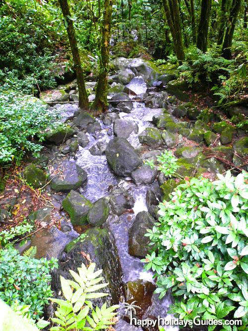 El Yunque La Coca waterfall