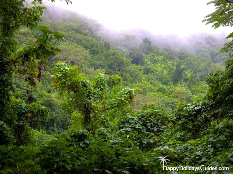 Puerto Rico Misty Mountains