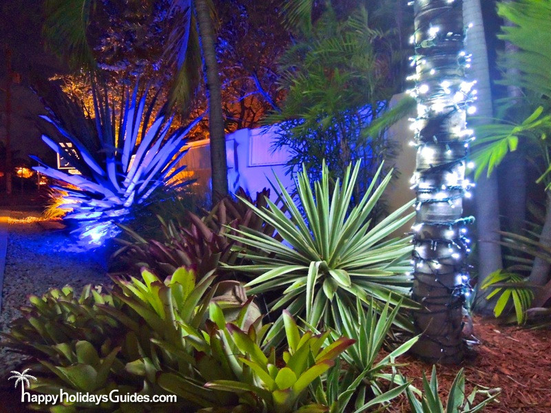 Key West Night Lights