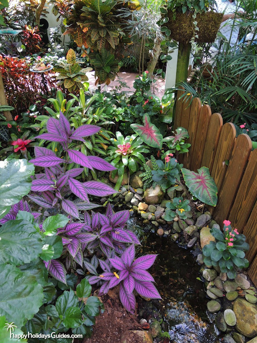 Key West Butterfly And Nature Conservatory The Plants