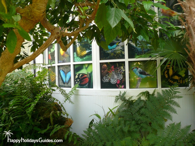 Butterfly Conservatory Windows