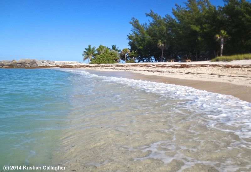 Fort Zachary Coastline