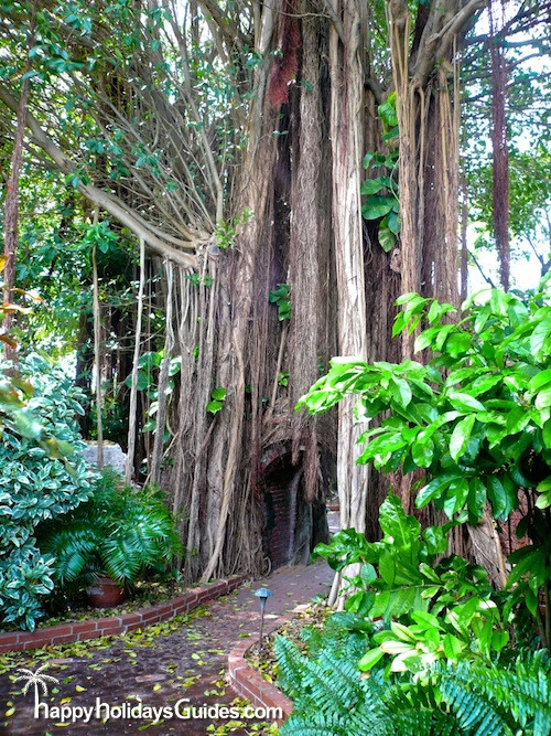 Key West Garden Club Tree
