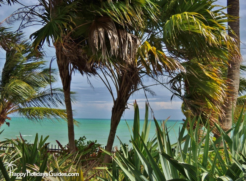 Key West Garden Club View