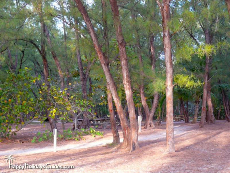 fort zachary taylor historic state park pines