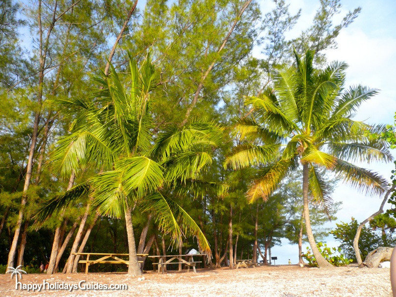 fort zachary taylor historic state park palms