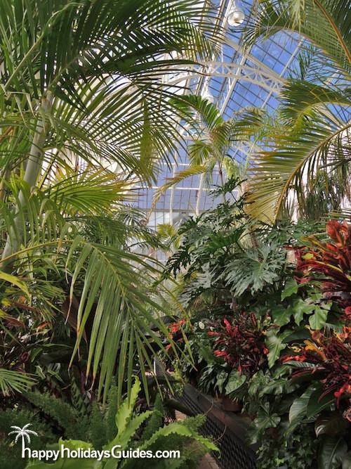 Biltmore Estate Greenhouse