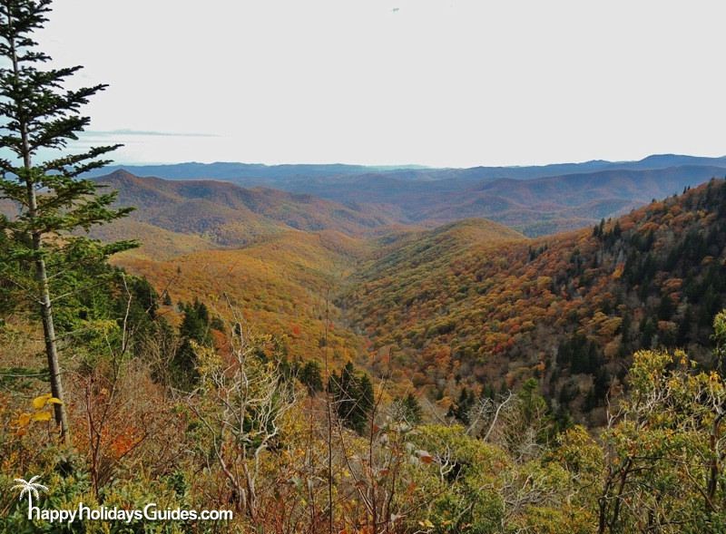 Blue Ridge Parkway View