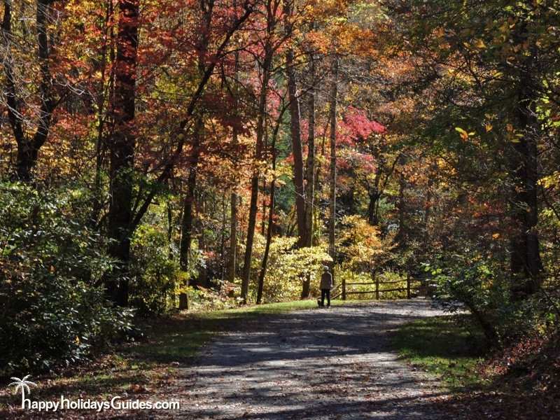 North Carolina Arboretum 01 Happy Holidays Guides
