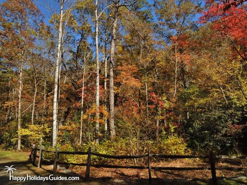 North Carolina Arboretum Fall Color