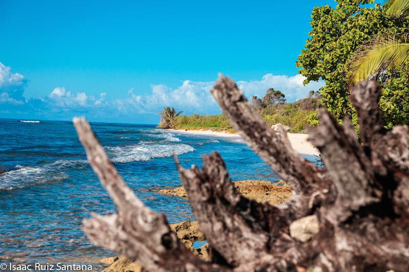 Puerto Rico Sandy Beach