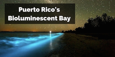 Puerto Rico Bioluminescent Bay