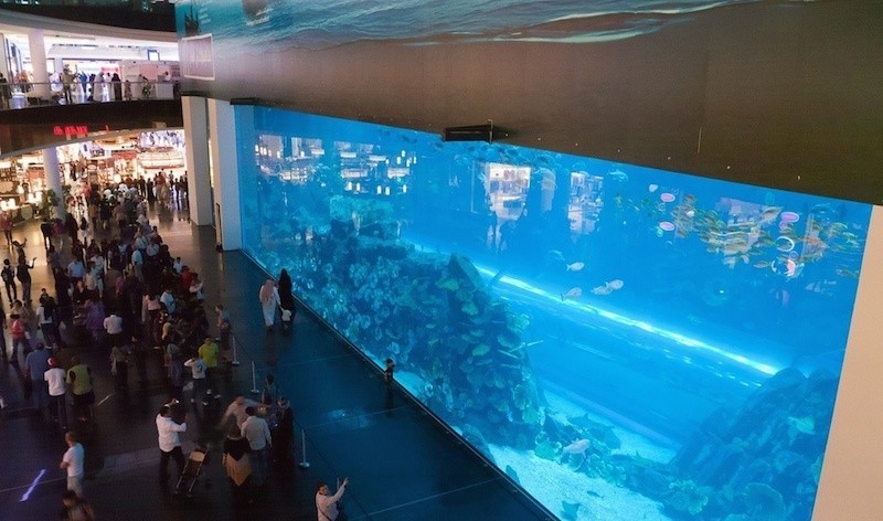 Dubai aquarium