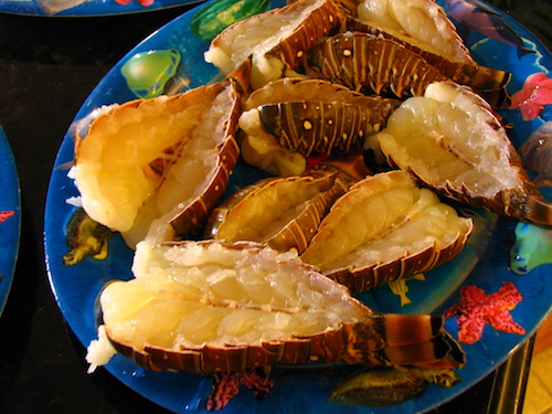 Key West Seafood Lobster
