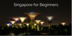 Singapore for Beginners