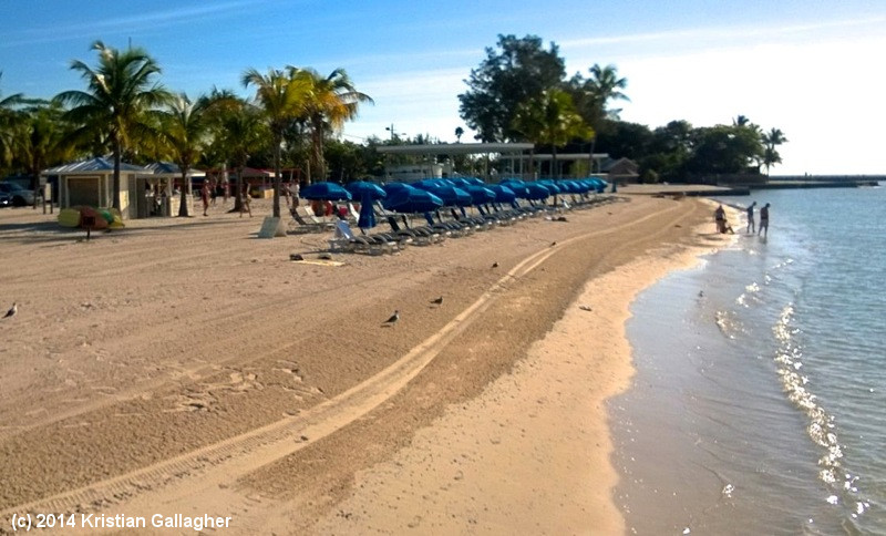 Higgs Beach Umbrellas