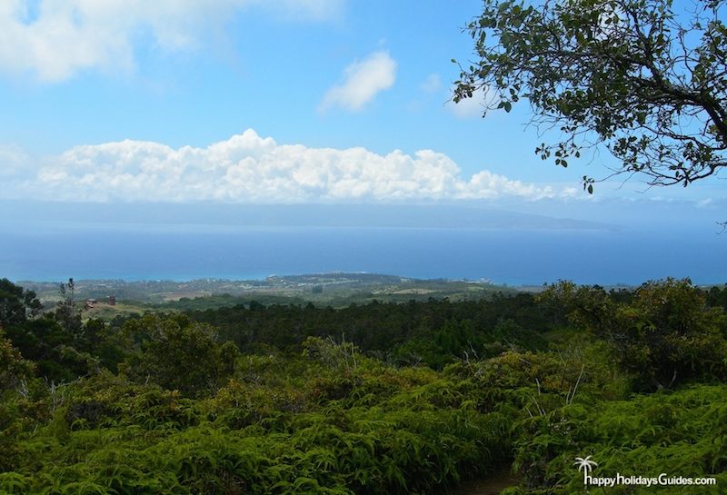 Maui Zip Lining