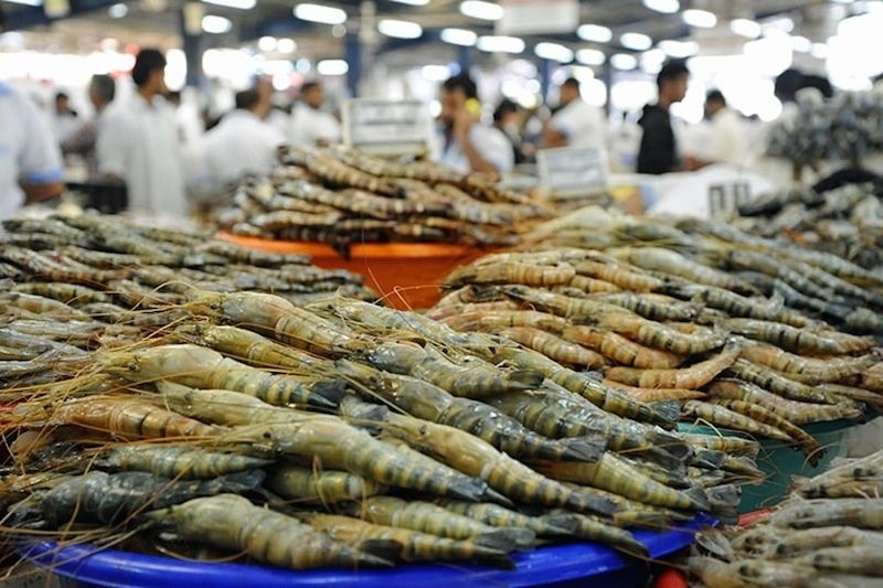 Dubai Fish Market