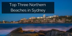 Top Nothern Beaches Sydney